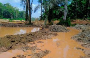 EPA Unearthed Massive Environmental Violations in Grand Gedeh County