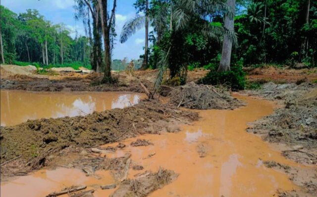 EPA