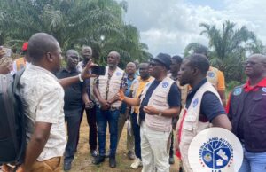 Land Authority Cracks Down On Illegal Wetland Sales in Montserrado and Environs