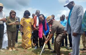 Fisheries Authority, World Bank Break Ground for Aquaculture Hatchery in Bomi County