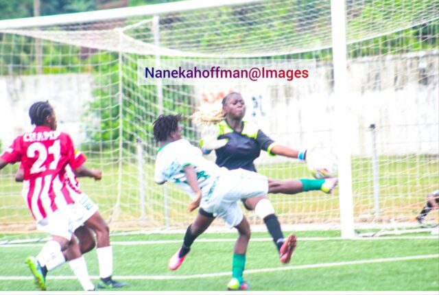 Champ & Falconets