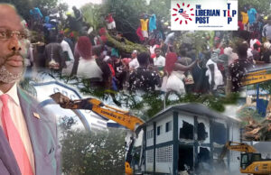 “Political Trespass”: CDC Supporters Worship Uprooted ‘Sycamore Tree’ at Ex‑Hqs