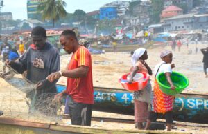 Liberia to Host High-Level Meeting on Revised NDC and NDC-SDG Insights Report