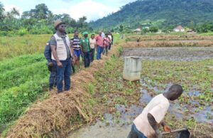 Bong Rice Farmers Advance to National Self-Sufficiency; Receives Big Praises from Agriculture Minister