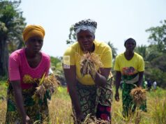 OP-ED: Liberia at the Crossroads — From Poverty to Prosperity Through Natural Capital