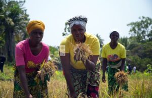 OP-ED: Liberia at the Crossroads — From Poverty to Prosperity Through Natural Capital