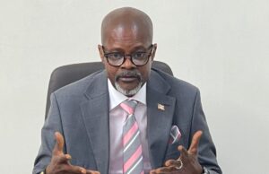 Senator Dillon Reaffirms Senate Commitment to Diaspora Inclusion as Liberians Abroad Seek Voting Access