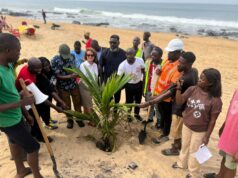 Monrovia Gets Green Makeover: EU-Backed Tree Planting Pilot Launches to Build Climate Resilience