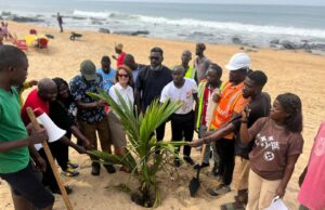 Monrovia Gets Green Makeover: EU-Backed Tree Planting Pilot Launches to Build Climate Resilience