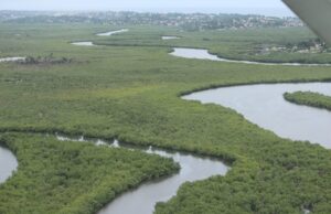Protecting Liberia’s Wetlands Is Protecting Our Cultural Heritage