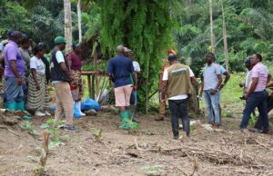From Hunters to Guardians: Liberia’s New Forest Rhythm