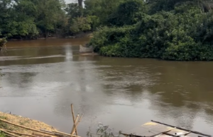 Calm Returns to Sorlumba Border After Guinean Troops Withdraw from Liberian Territory