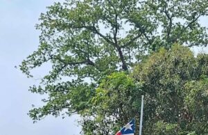 Guinean Soldiers Cross into Liberia, Remove Flag as Border Tensions Rise in Lofa County