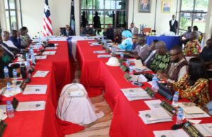 ‘You Represent Liberia Now’: Boakai Warns Officials Over Reckless Public Statements