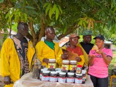 From Struggle to Success: One Beekeeper’s Story