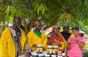 From Struggle to Success: One Beekeeper’s Story