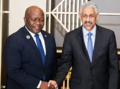 Liberia, Constituency 15 Push for Stronger AfDB Support, Greater Representation During Talks with Bank President