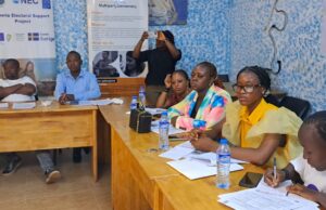 Young Political Leaders Deepen Democratic Skills at NIMD Democracy School in Buchanan
