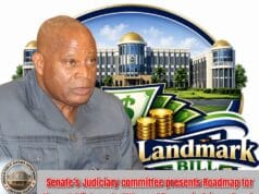 Senate Unveils Roadmap to Harmonize Anti-Corruption and War Crimes Court Bills