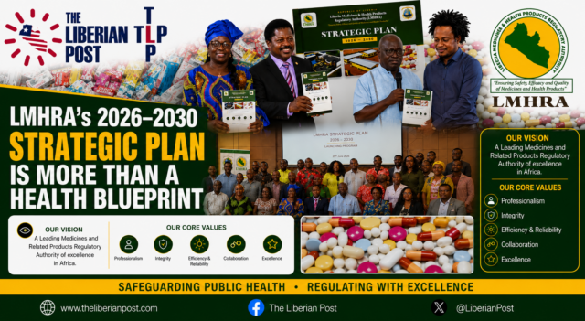 LMHRA's Strategic Plan is more than a blue print