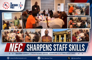 NEC Middle-Level Staff Deepen Institutional Excellence Skills Through BRIDGE Workshop