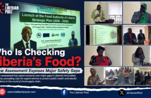 Who Is Checking Liberia’s Food? New Assessment Exposes Major Safety Gaps