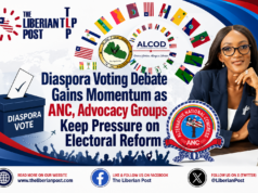 Diaspora Voting Debate Gains Momentum as ANC, Advocacy Groups Keep Pressure on Electoral Reform