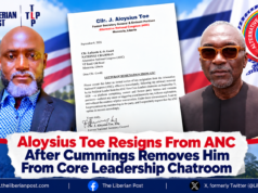 Aloysius Toe Resigns from ANC After Cummings Removes Him from Core Leadership Chatroom