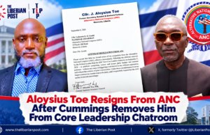 Aloysius Toe Resigns from ANC After Cummings Removes Him from Core Leadership Chatroom